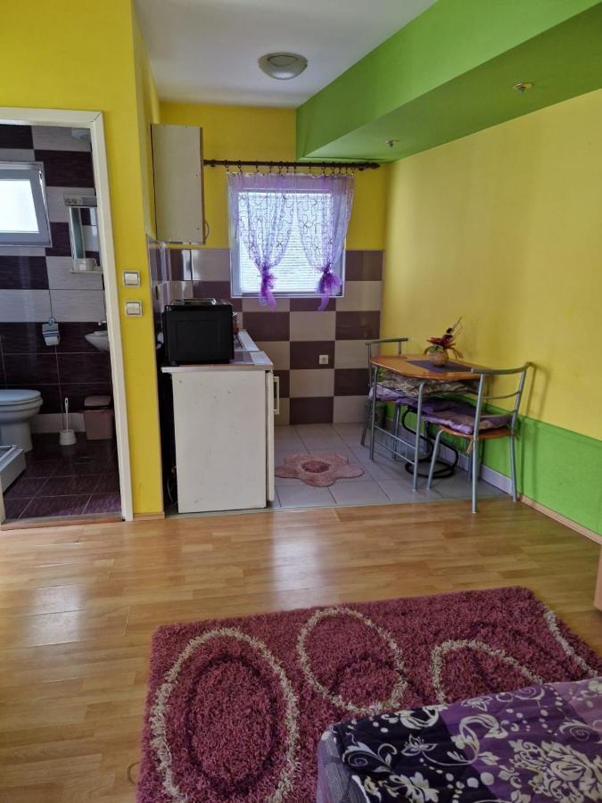 Apartments Hadzi Sokobanja Eksteriør billede